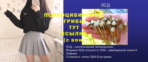 СК Богородицк