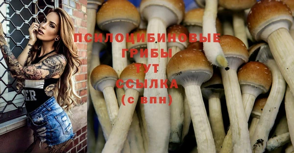 СК Богородицк