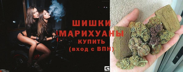 СК Богородицк