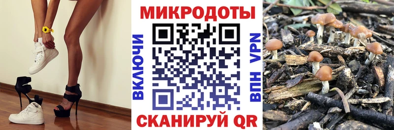 как найти закладки  Пермь  Псилоцибиновые грибы мицелий 